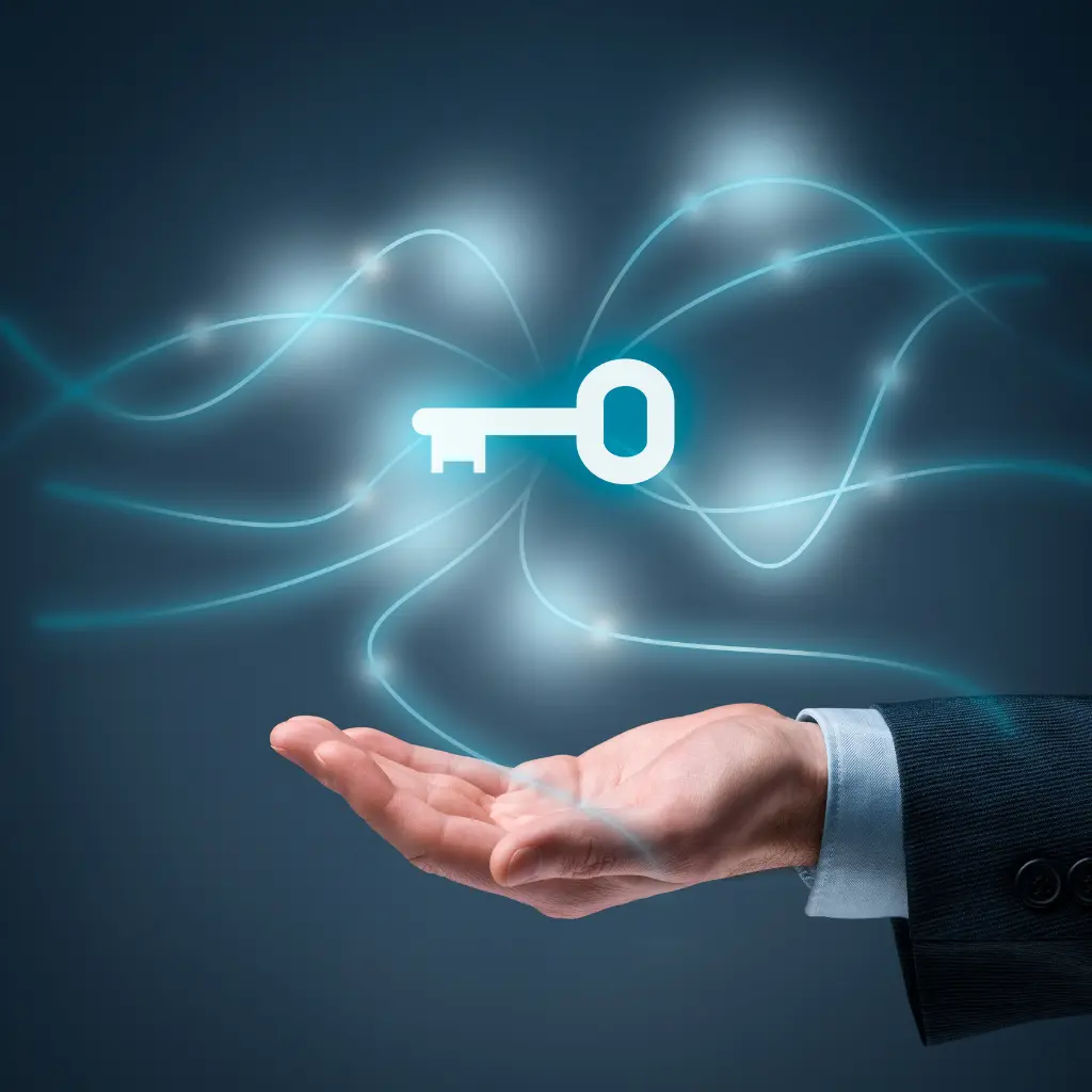 MRP come sistema - software innovativo