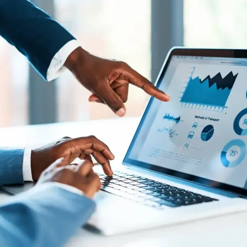 Software di Controllo di Gestione